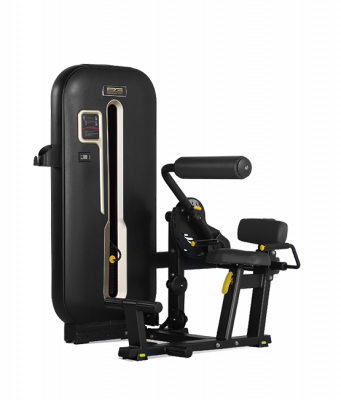 Разгибание спины Bronze Gym S7-009