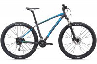Велосипед Giant Talon 29 2-GE (2020)