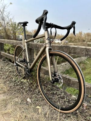 Велосипед Hagen RS9 QR (2024)