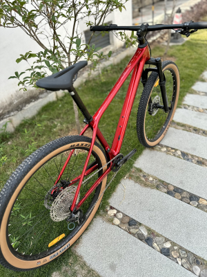 Велосипед Hagen 7.12 Carbon (2024)