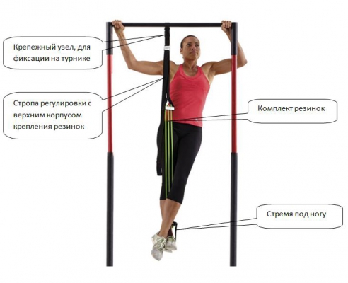 Эспандерная система Kampfer KSW professional Elastic GYM