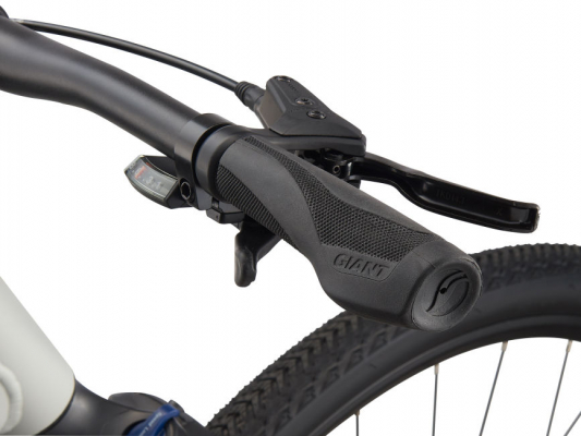 Велосипед Giant Roam 3 Disc (2021)