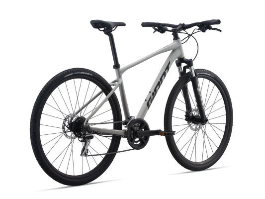 Велосипед Giant Roam 3 Disc (2021)