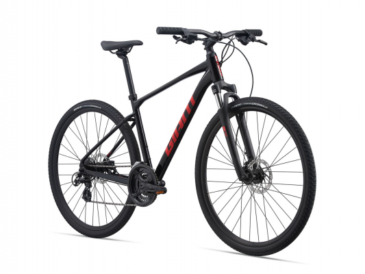 Велосипед Giant Roam 4 Disc (2021)