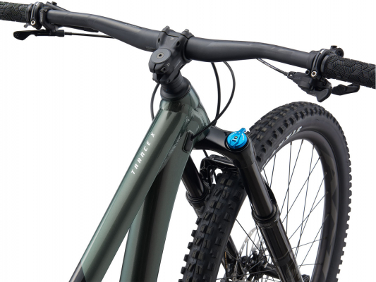 Велосипед Giant Trance X 29 2 (2021)