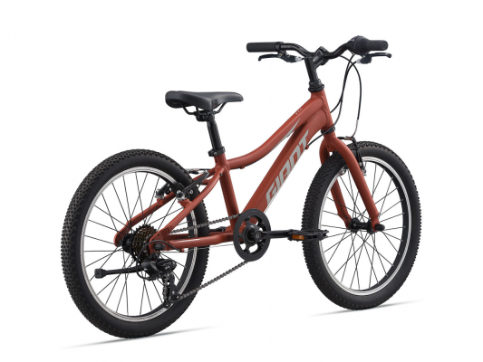 Велосипед Giant XtC Jr 20 Lite (2021)