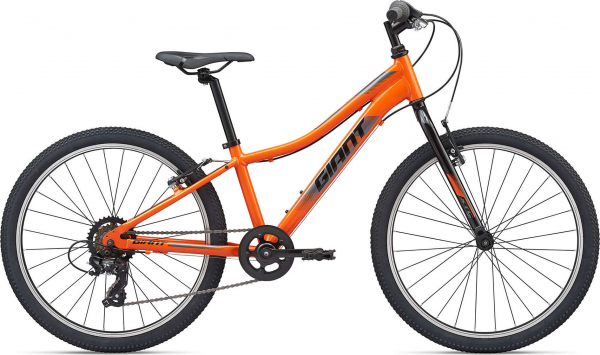 Велосипед Giant XtC Jr 24 Lite (2021)