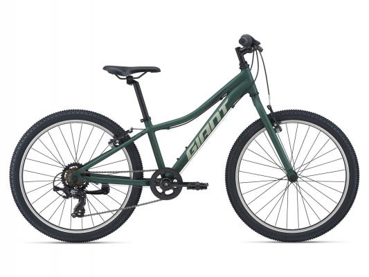 Велосипед Giant XtC Jr 24 Lite (2021)