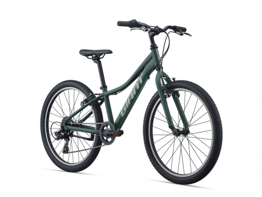Велосипед Giant XtC Jr 24 Lite (2021)