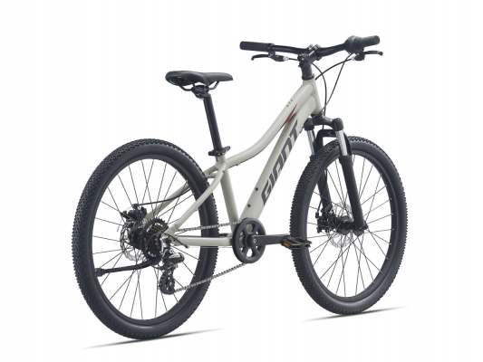 Велосипед Giant XtC Jr Disc 24 (2021)