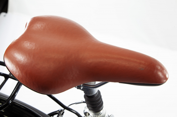 Велосипед Alpine Bike Costa (2022)