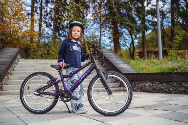 Велосипед Alpine Bike Pegas 3-20 (2025)