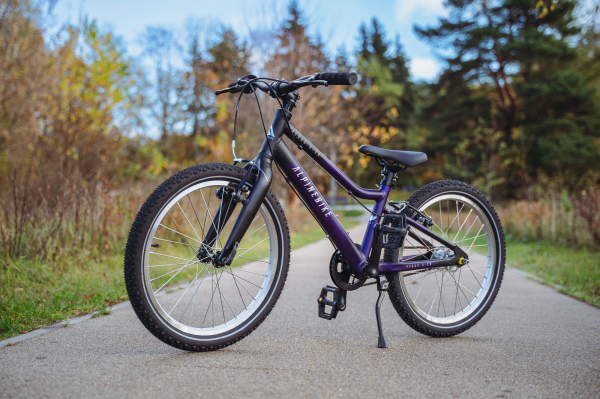 Велосипед Alpine Bike Pegas 3-20 (2025)