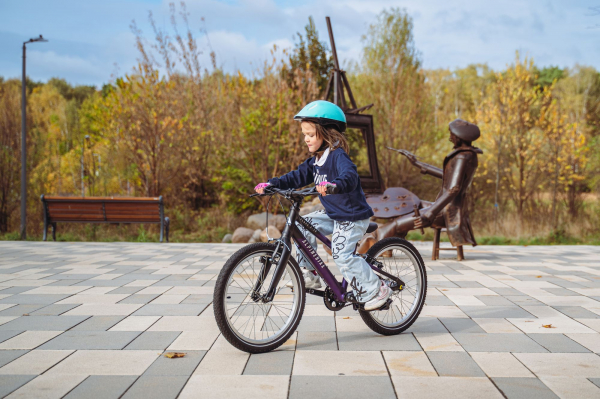 Велосипед Alpine Bike Pegas 3-20 (2025)
