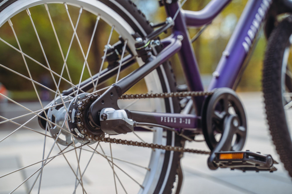 Велосипед Alpine Bike Pegas 3-20 (2025)