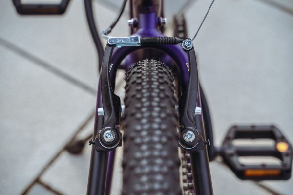 Велосипед Alpine Bike Pegas 3-20 (2025)