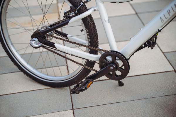 Велосипед Alpine Bike Pegas 3-24 (2025)
