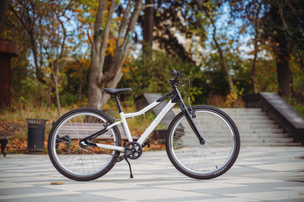 Велосипед Alpine Bike Pegas 3-24 (2025)