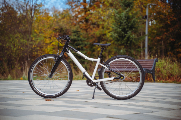 Велосипед Alpine Bike Pegas 3-24 (2025)