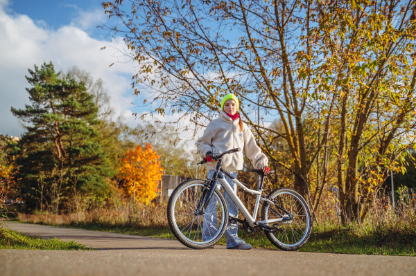 Велосипед Alpine Bike Pegas 3-24 (2025)
