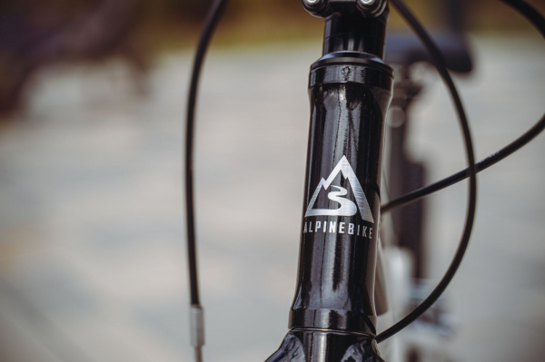Велосипед Alpine Bike Pegas 3-24 (2025)