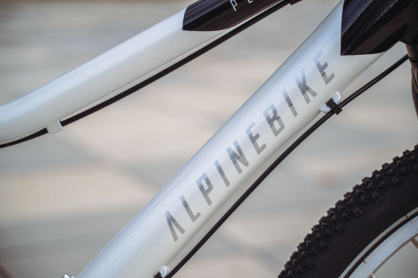Велосипед Alpine Bike Pegas 3-24 (2025)
