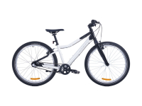Велосипед Alpine Bike Pegas 3-24 (2025)