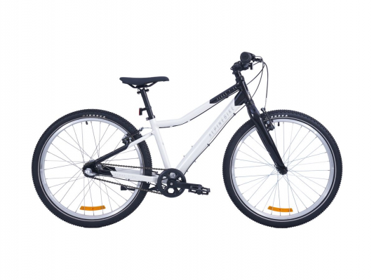 Велосипед Alpine Bike Pegas 3-24 (2025)