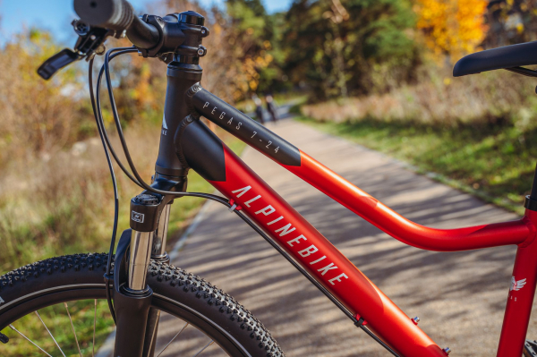Велосипед Alpine Bike Pegas 7-24 (2025)
