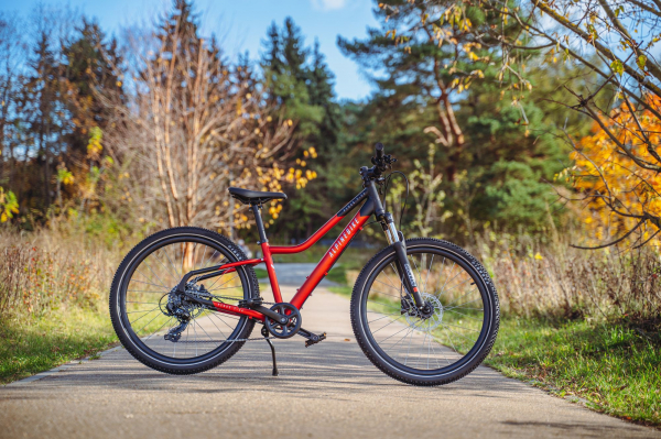 Велосипед Alpine Bike Pegas 7-24 (2025)