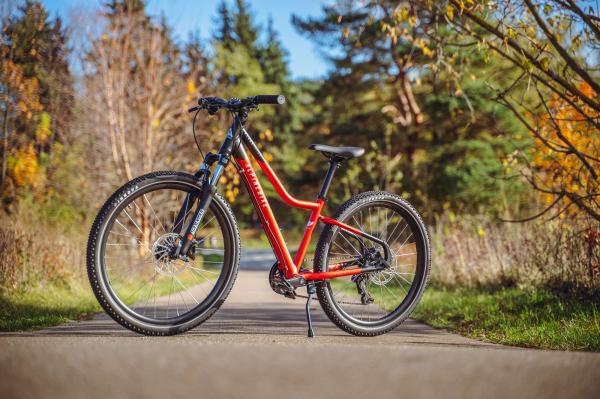 Велосипед Alpine Bike Pegas 7-24 (2025)