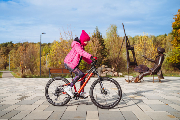Велосипед Alpine Bike Pegas 7-24 (2025)