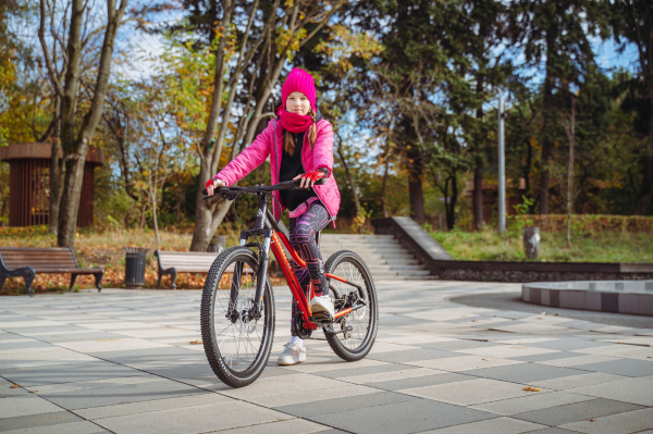 Велосипед Alpine Bike Pegas 7-24 (2025)