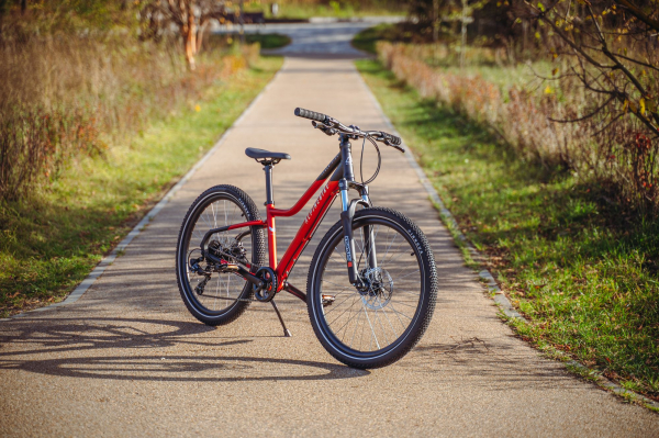 Велосипед Alpine Bike Pegas 7-24 (2025)