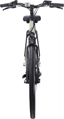 Электровелосипед Alpine Bike Tödi (2024)