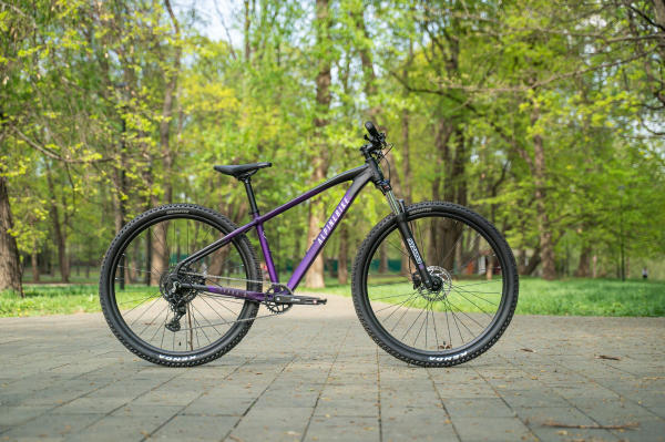 Велосипед Alpine Bike Terra 9 (2025)