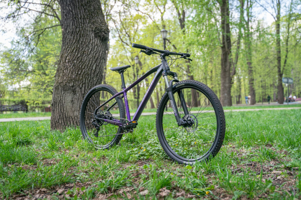 Велосипед Alpine Bike Terra 9 (2025)