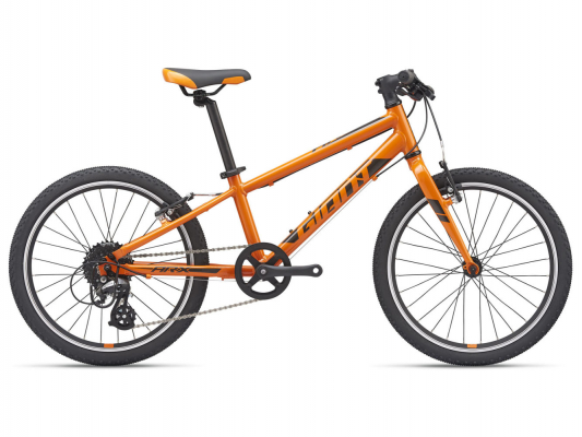 Велосипед Giant ARX 20 (2021)