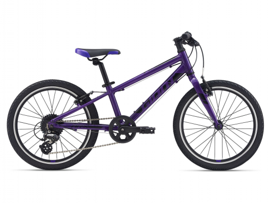 Велосипед Giant ARX 20 (2021)