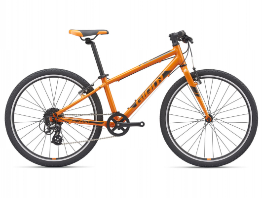 Велосипед Giant ARX 24 (2021)