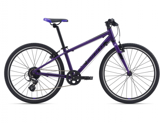 Велосипед Giant ARX 24 (2021)