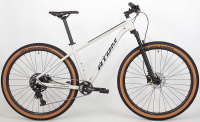 Велосипед Atom Bion Nine LTD (2024)