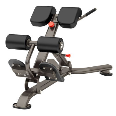 Гиперэкстензия Smith Fitness DR010B