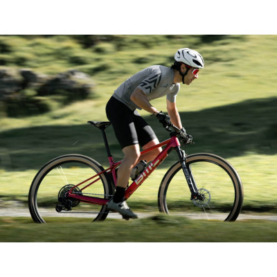 Велосипед BMC Twostroke AL FOUR SX Eagle Red/Grey/Grey (2022)