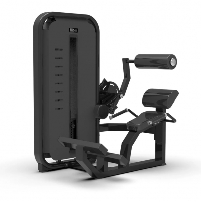 Разгибание спины Bronze Gym MIGHT 23