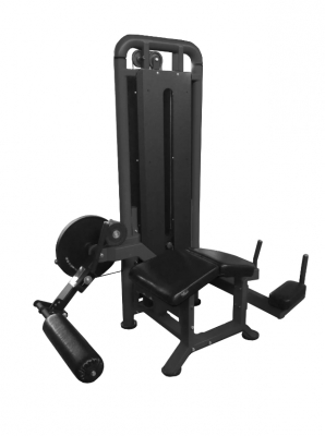 Сгибание ног лёжа Bronze Gym PARTNER ML-706
