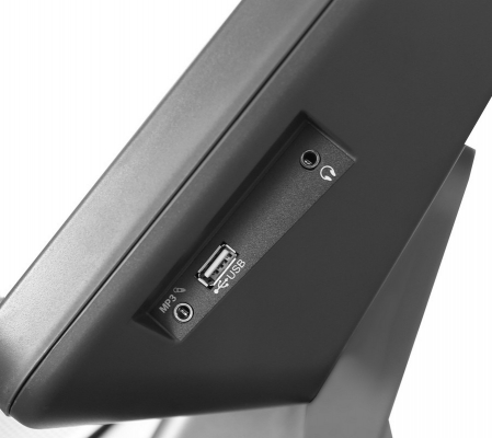 Беговая дорожка Bronze Gym T950 PRO TFT BLACK HAWK