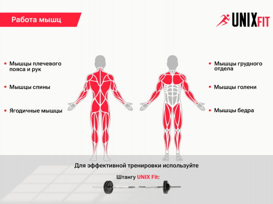 Стойка под штангу UnixFit FRAME 120