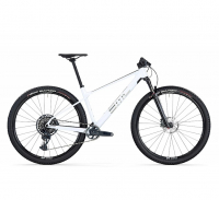 Велосипед BMC Twostroke 01 TWO GX Eagle 1x12 White/Brushed/Brushed (2024)