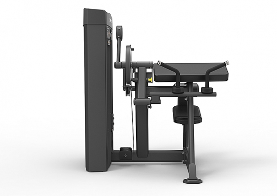 Бицепс/трицепс сидя Spirit Fitness SP-4607